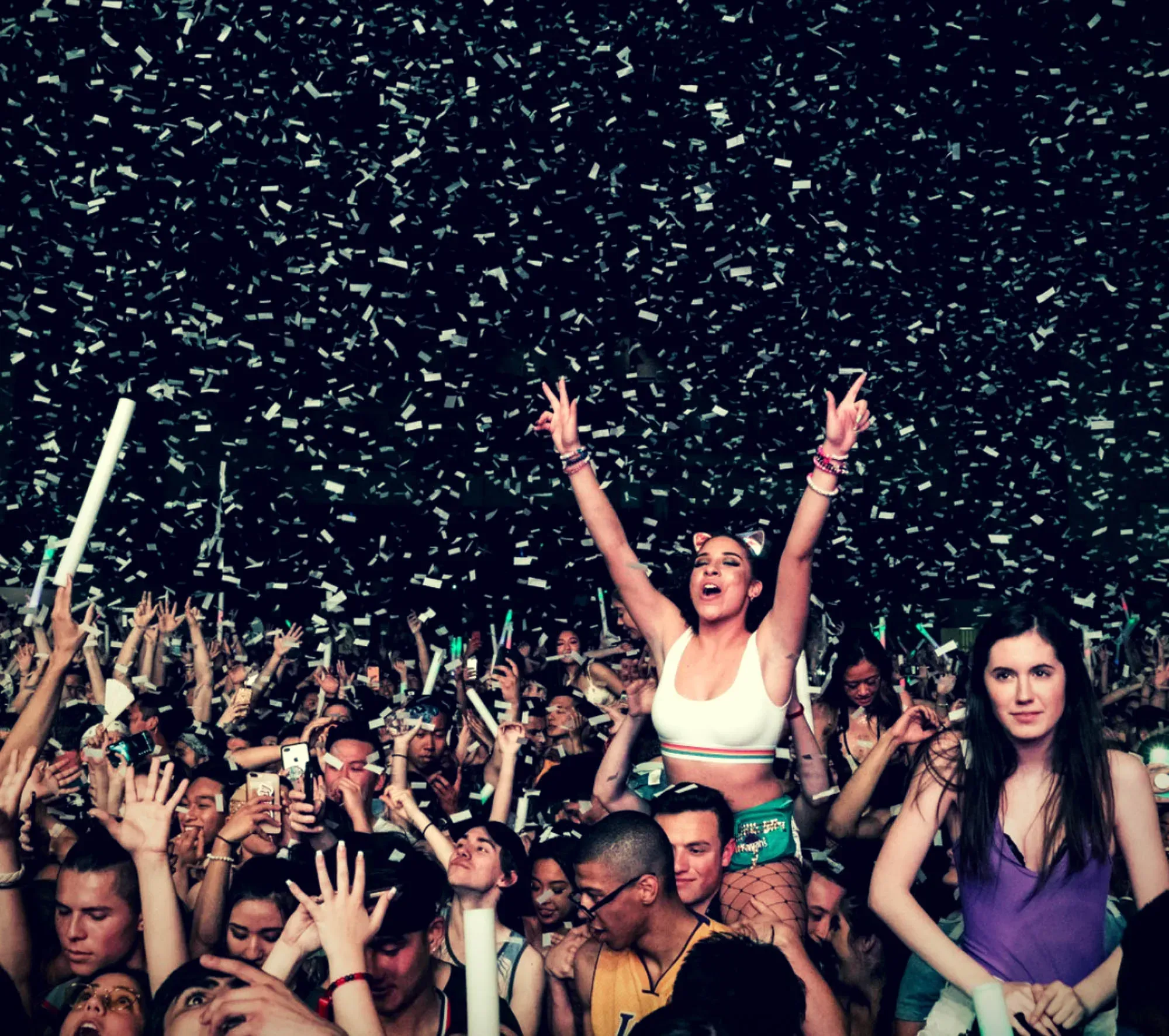 A crowd at a concert